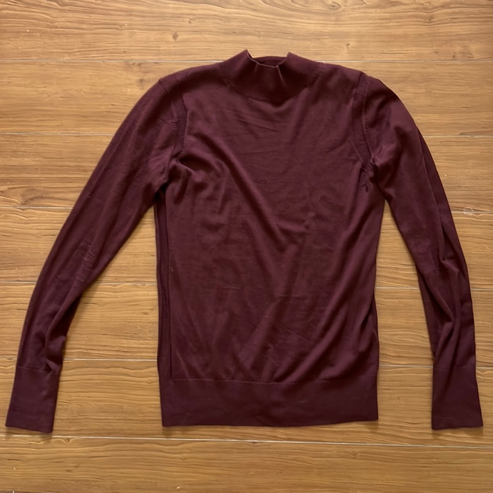 Everlane mockneck sweater like new